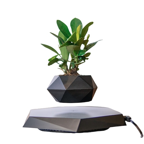 Hängender Blumentopf Geeignet für Kleine Pflanzen Magnetischer schwebender Blumentopf mit Touch Steuerung Licht Ewiges schwebendes Blumenlicht Valentinstagsgeschenk für Hängende Dekoration in Image