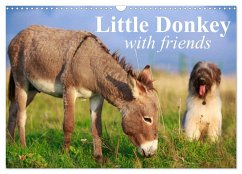 Little Donkey with Friends (Wall Calendar 2026 DIN A3 landscape), CALVENDO 12 Month Wall Calendar - Calvendo