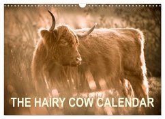 The Hairy Cow Calendar (Wall Calendar 2026 DIN A3 landscape), CALVENDO 12 Month Wall Calendar - Calvendo