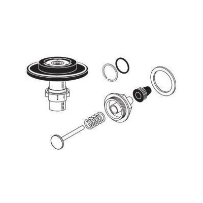 Sloan 3301070 N/A Royal Performance Kits-Packaged in Clam Shell Rebuild Kit 3301070