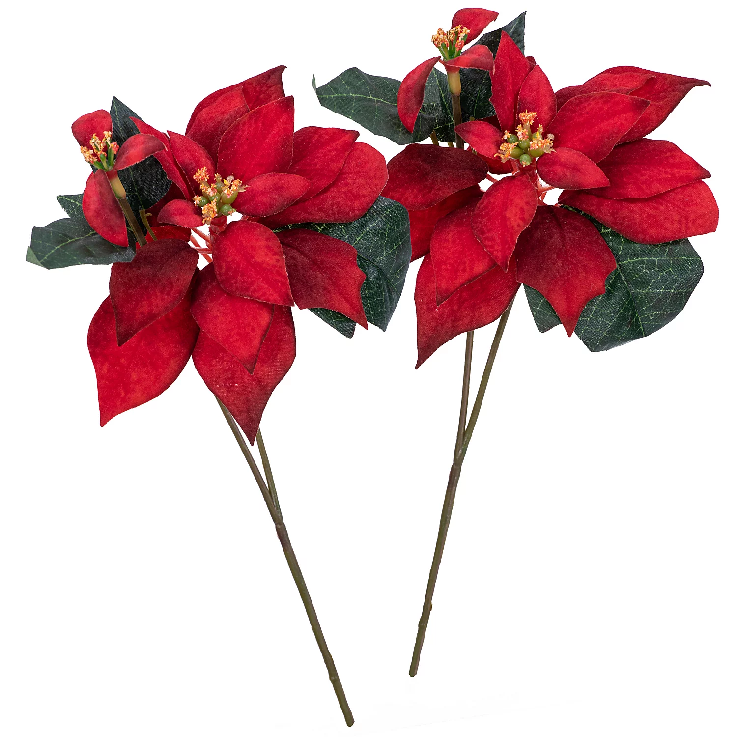 Weihnachtsstern, rot, 25 cm, 2 Stück Image