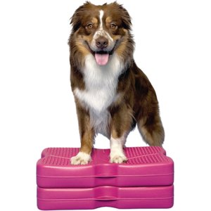 Blue-9 Propel Air Platform Canine Conditioning Dog Fitness Equipment & Accessories, Pink, 2 count