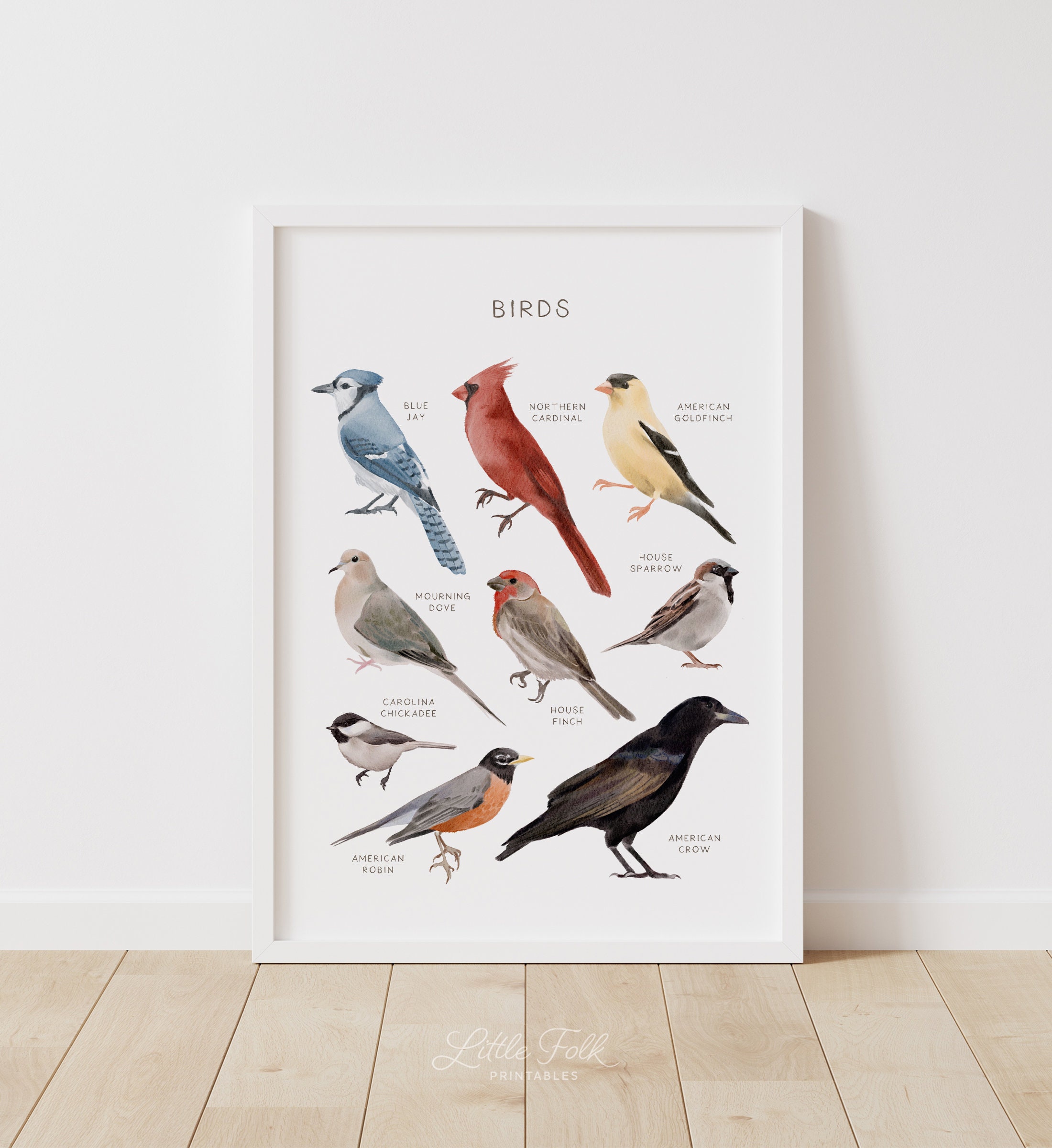 Poster didattico sugli uccelli, stampa di uccelli comuni, arte murale stampabile, decorazioni per la scuola materna Montessori, decorazioni per l'aula