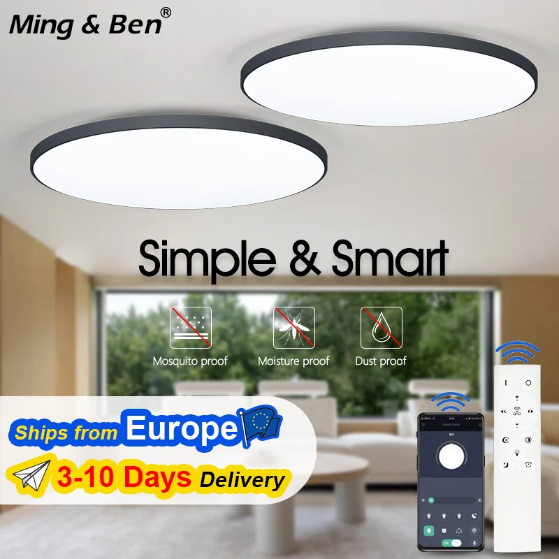 Deckenleuchte, Schlafzimmer, Badezimmer, Wohnzimmer, rund, ultradünn, modern, intelligente LED-Lampe, dimmbar, APP, Fernbedienung, Heimdekoration