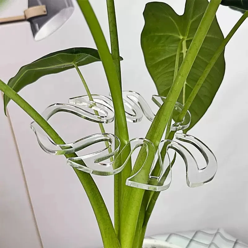 Robuster Hängepflanzen-Stützrahmen für Stiele, Garten, Blumenarrangements, geeignet für Blumentopf-Dekoration, Innen- und Außenbereich Image