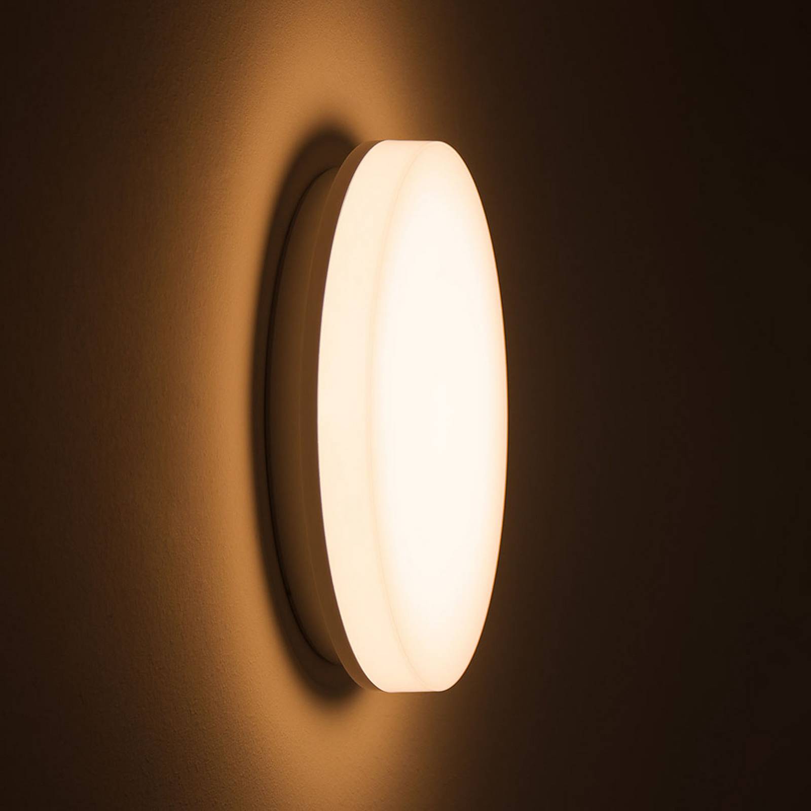 DOTLUX LED-Deckenlampe SURFACE, Ø 30 cm, weiß, PC, CCT, IP54 SURFACE, weiß / opal, für Badezimmer, Kunststoff