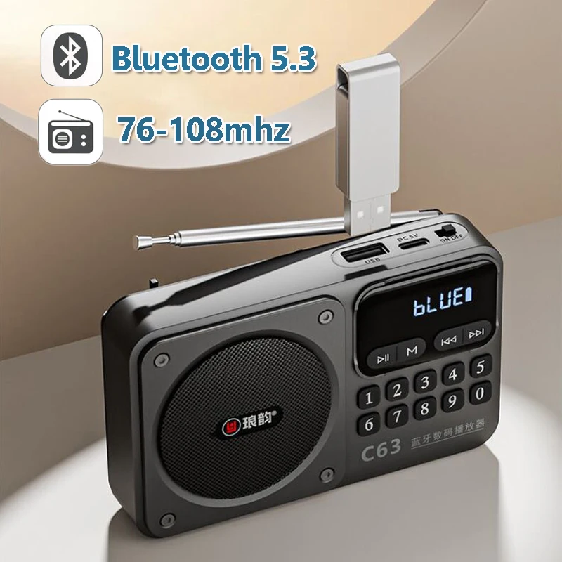 Radio Portable à affichage LED, Mini FM 76-108MHZ, son Hifi sans fil, haut-parleur Bluetooth, conception de lanière, carte TF, USB, lecteur de musique