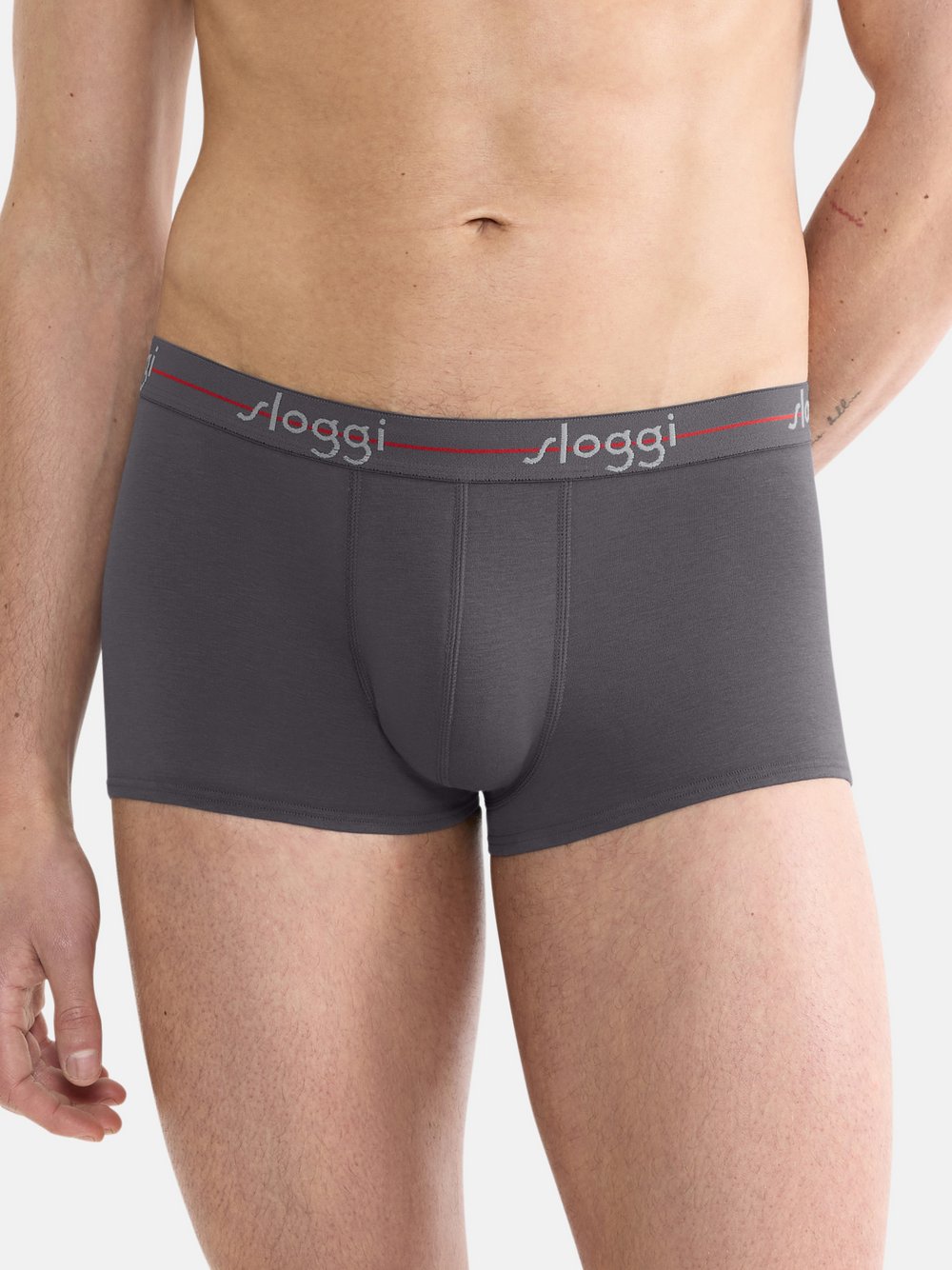 sloggi Hipster Herren grau, XL Image