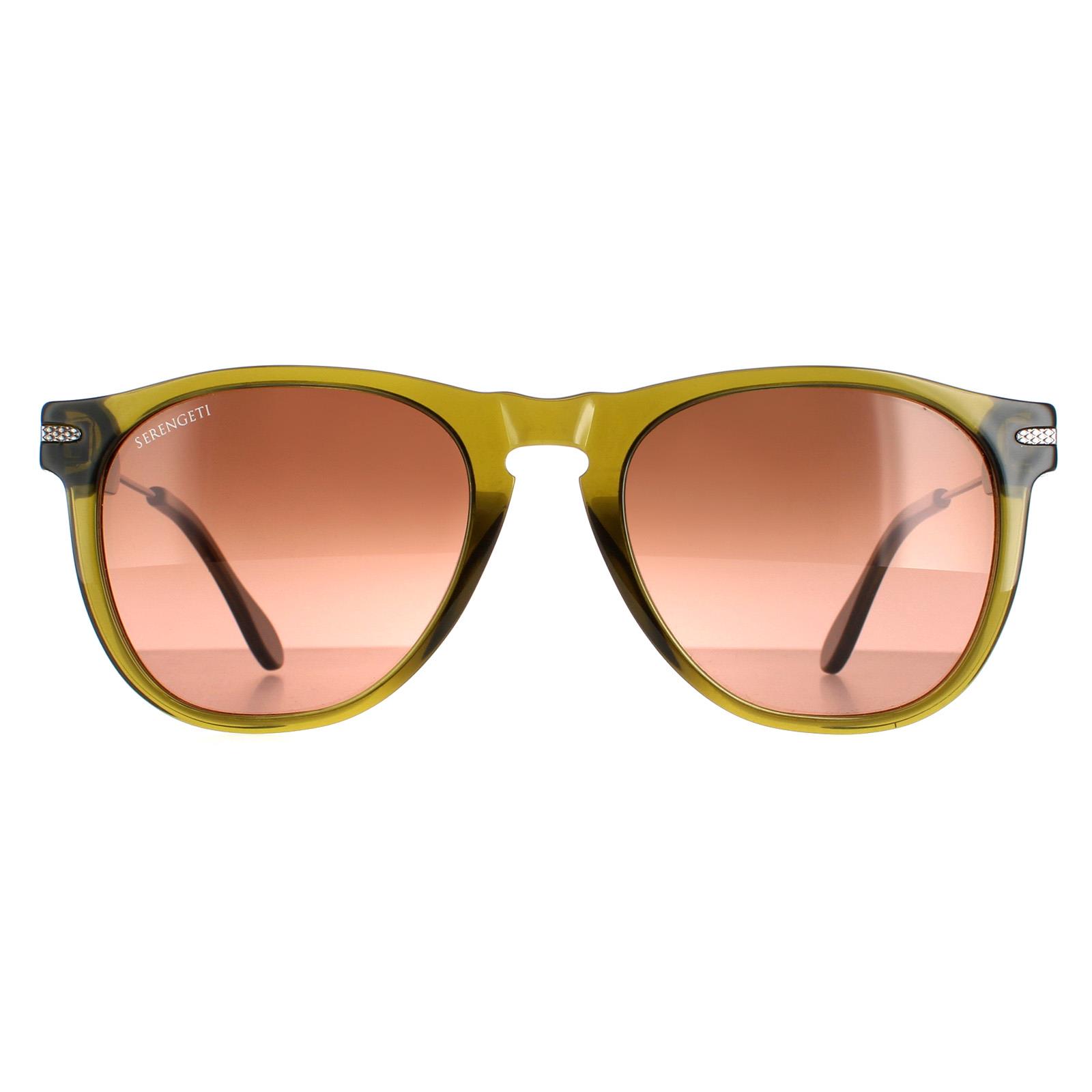 Lunettes de soleil Serengeti Amboy SS530004 Gunmetal Olive Polarisé Drivers Gradient Image