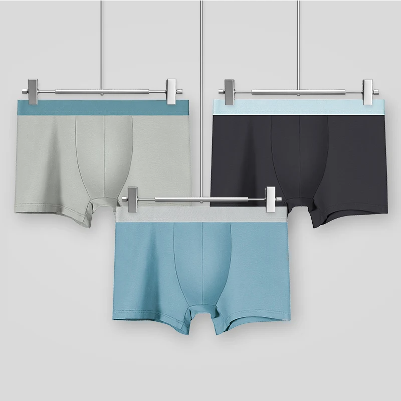 Herrenunterwäsche Herren Baumwolle Sommer dünne Boxershorts Unterhosen Jungen Sport Übergröße Modal Boxershorts Kopf Image