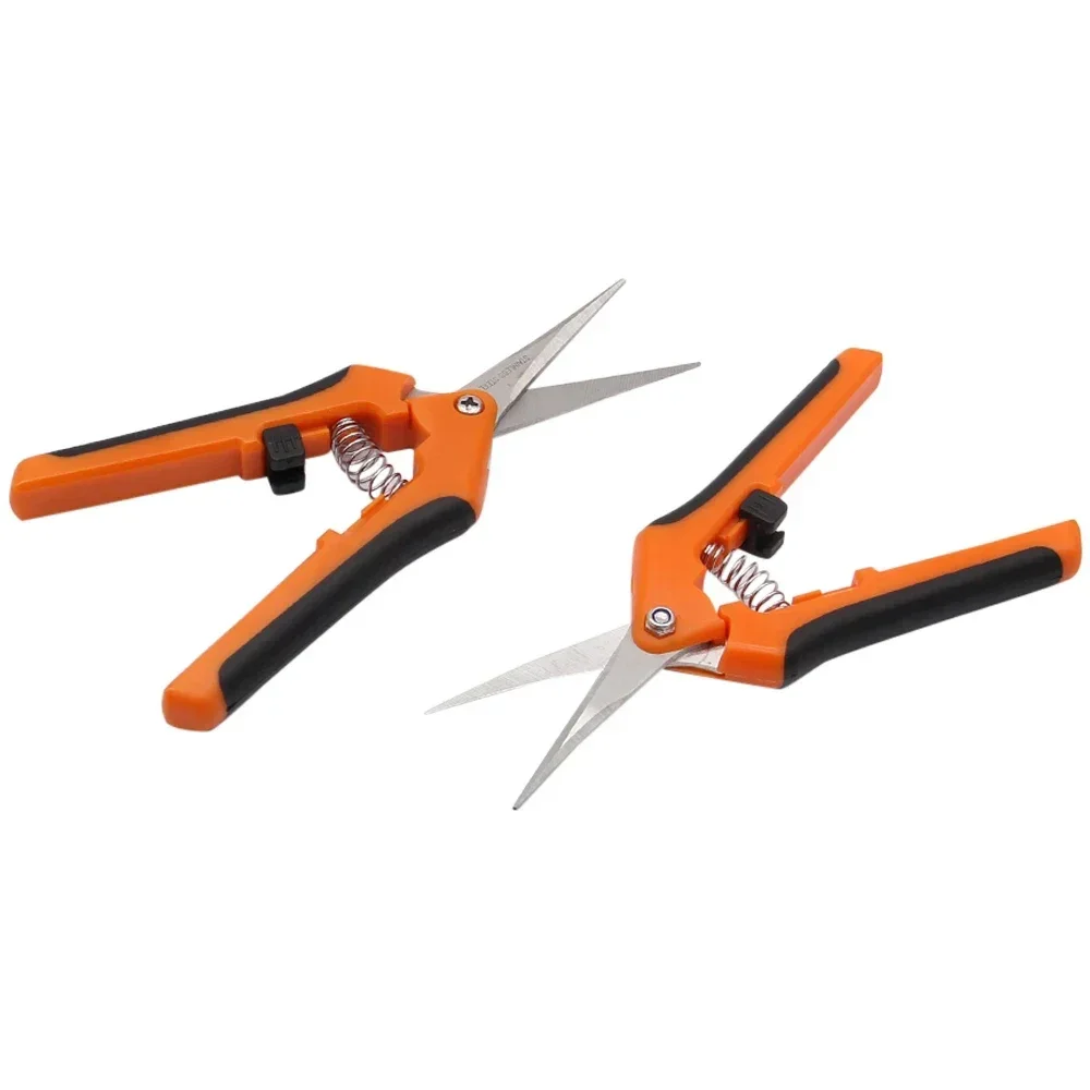 Outils de jardin sécateurs bonsaï ciseaux de jardinage en métal outil d