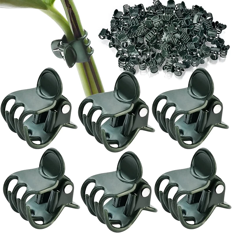 50/100PCS 6-Klauen Dunkelgrüne Pflanzen Clips Orchidee Blumen Unterstützung Klemme Klettern Reben Stem Verschluss Gebunden bündel Zweig Garten Werkzeug Image