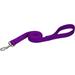 Double Ply Nylon Personalized Dog Leash in Purple, 4' L X 1" W, Small