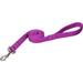 Double Ply Nylon Personalized Dog Leash in Orchid, 4' L X 1" W, Small, Purple