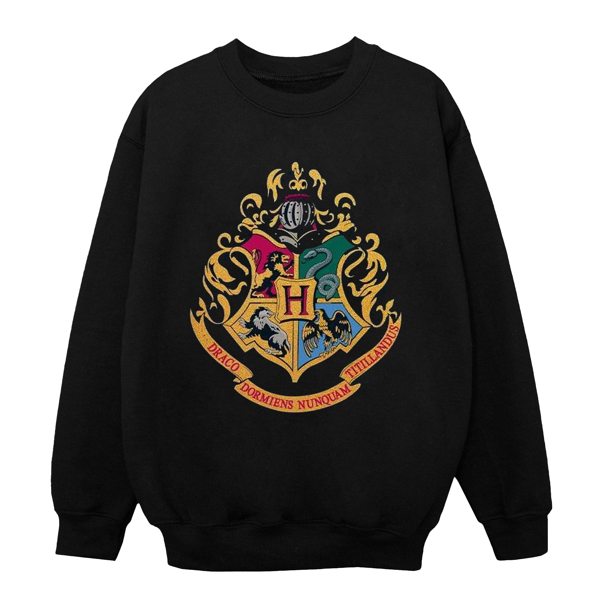 Harry Potter - "Hogwarts" Sweatshirt für Jungen (Schwarz) Image