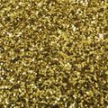 Spectra Art Glitter Gold 1lb Jar Certified Non-Toxic