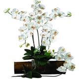 Nearly Natural Phalaenopsis Stem Cream 12pc