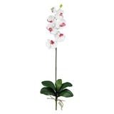 Nearly Natural Phalaenopsis Stem White 12pc