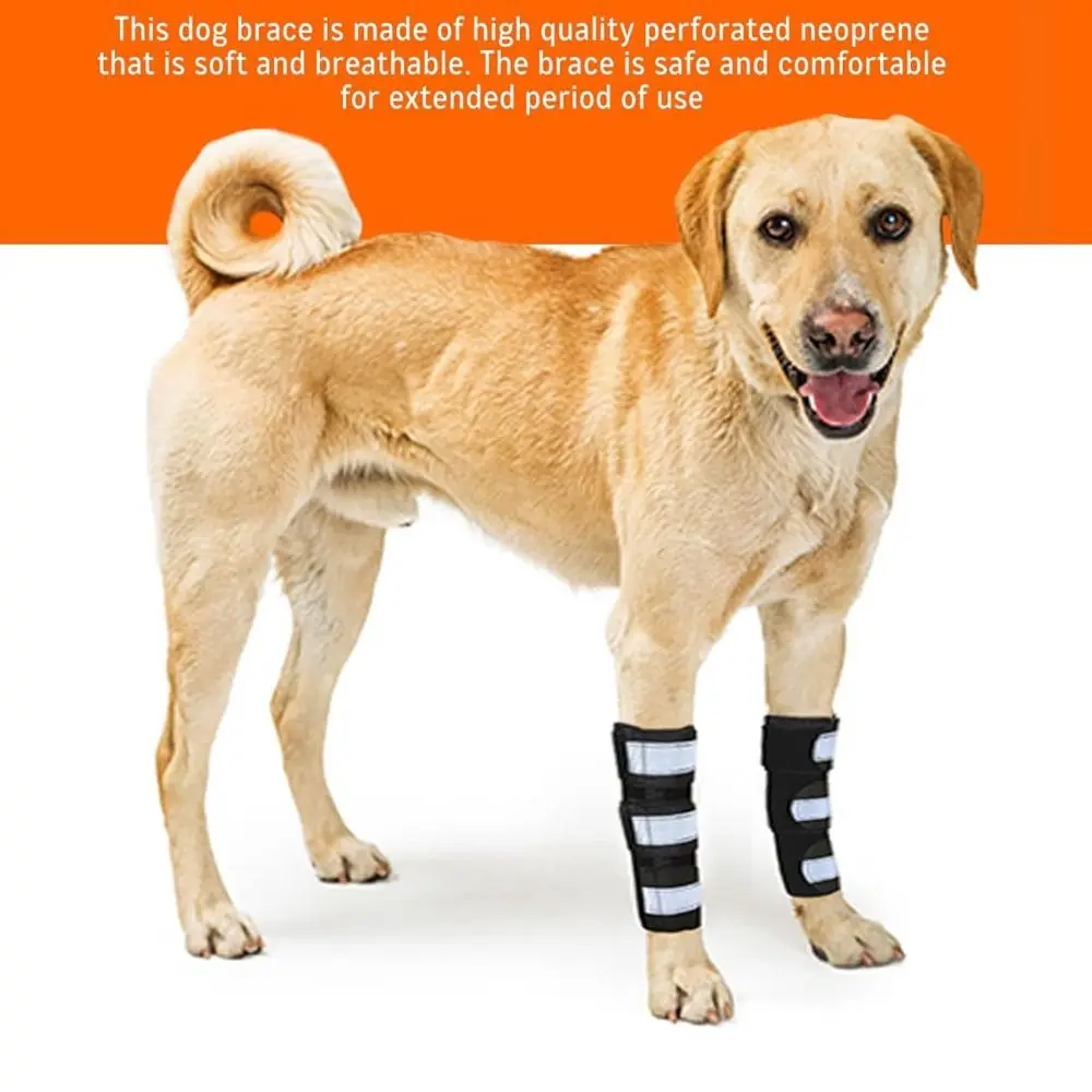 1PC Leichte PC-Streifen Hund Vordere Beinstütze Verstellbare Träger Reflektierende Streifen Knieorthese Atmungsaktive Rutschfeste ACL-Unterstützung Image