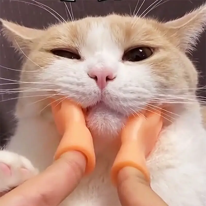 Mini-Fingerhandschuhe, kleine Handschuhe für Katzen, Mini-Finger-Haustierspielzeug aus Silikon, Puppenshows, Komödieufführungen, Partygeschenke Image