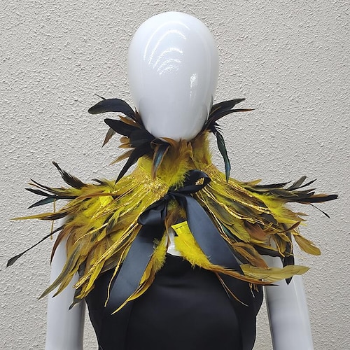 Carnaval 2026 Accessoires de Carnaval de Rio Samba Cape Femme Plumes Arc-en-ciel avec Franges à Paillettes Châle en Plumes Colorées avec Lien en Ruban Costume de Performance Festival Brésilien