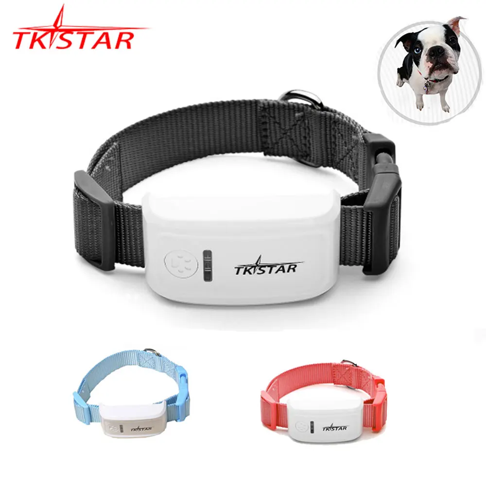 GPS Tracker Pet TK909 TKSTAR 2G GSM GPS localisateur Mini GPS animaux Tracker 2G GSM meilleur chien GPS Tracker avec application gratuite étanche IP67