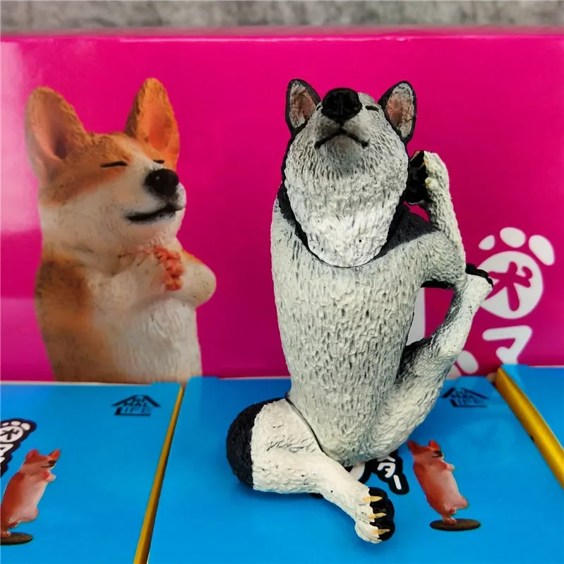 Niedliche Blindbox „TIERLIFE Dog Yoga Master“. | 6 Stile Welpen Geheimnis Blind Box Geschenke Spielzeug Modell Anime Figur Sammeln Ornamente Image