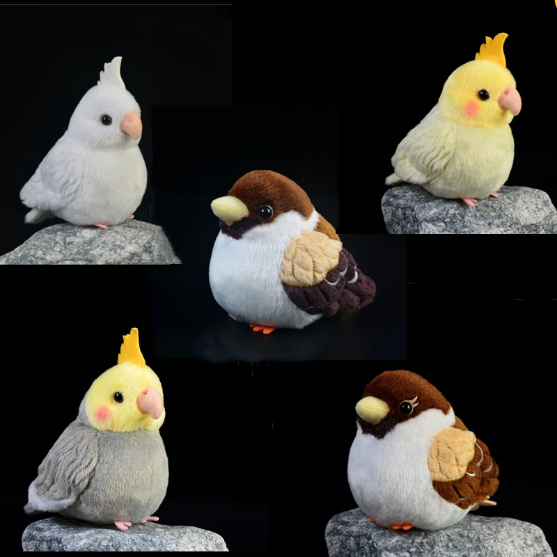 Card image cap