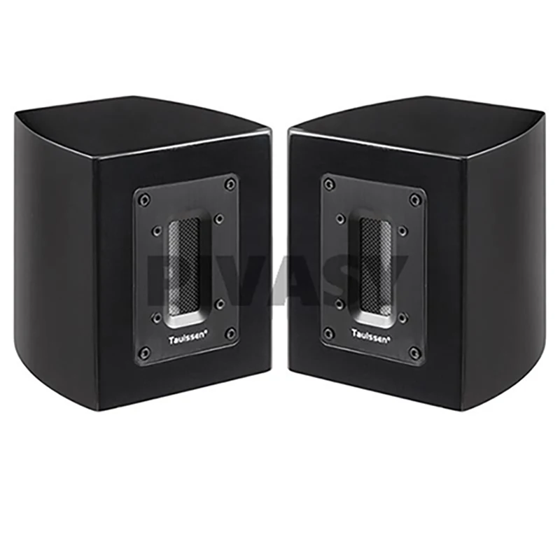 Brandneuer 60 W 6 Ohm Fever Independent Ribbon Super Hochtöner Externer Hochtöner Passiver Lautsprecher Soundbox-Erweiterung Image