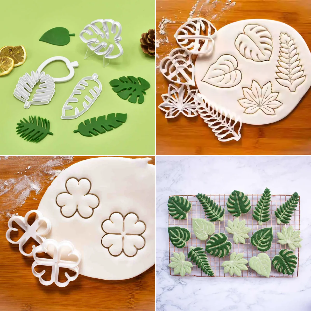DIY Cookie Embosser Form Agave Ivy Schildkröte Blatt Kunststoff Keks Form Fondant Kuchen Dekorieren Werkzeuge Blatt Muster Backformen Image