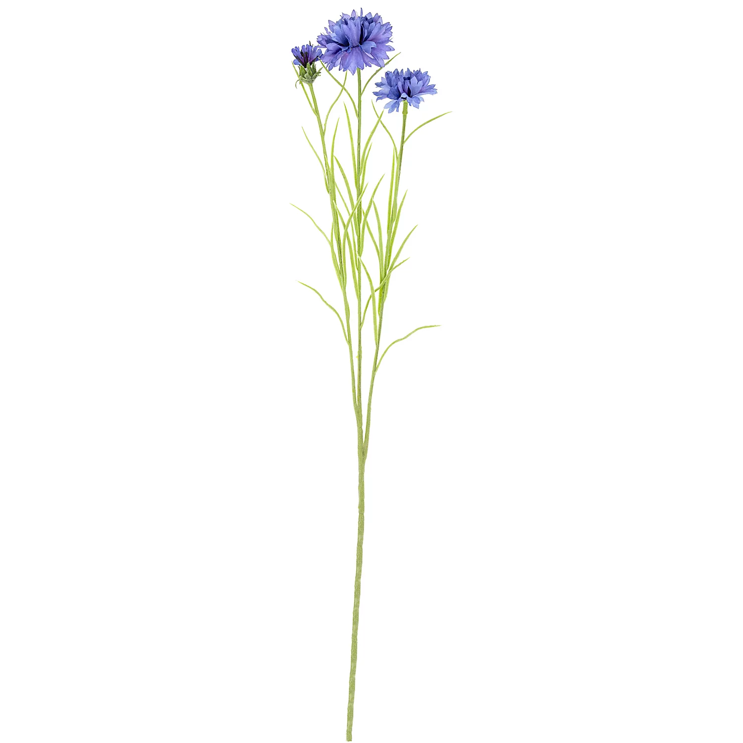 Kornblumen, blau, 65 cm Image
