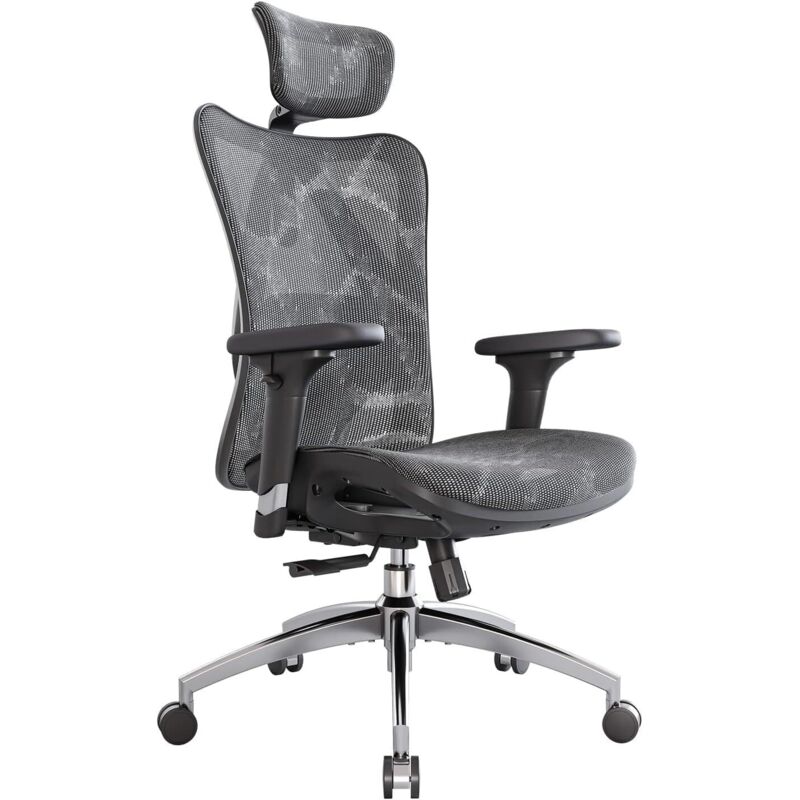 Sihoo M57 Sedia Ufficio Ergonomica, Sedia Da Scrivania In Rete Con Supporto Lombare Regolabile, Braccioli 3d, Sedia Computer Alta E Traspirante (grigio)