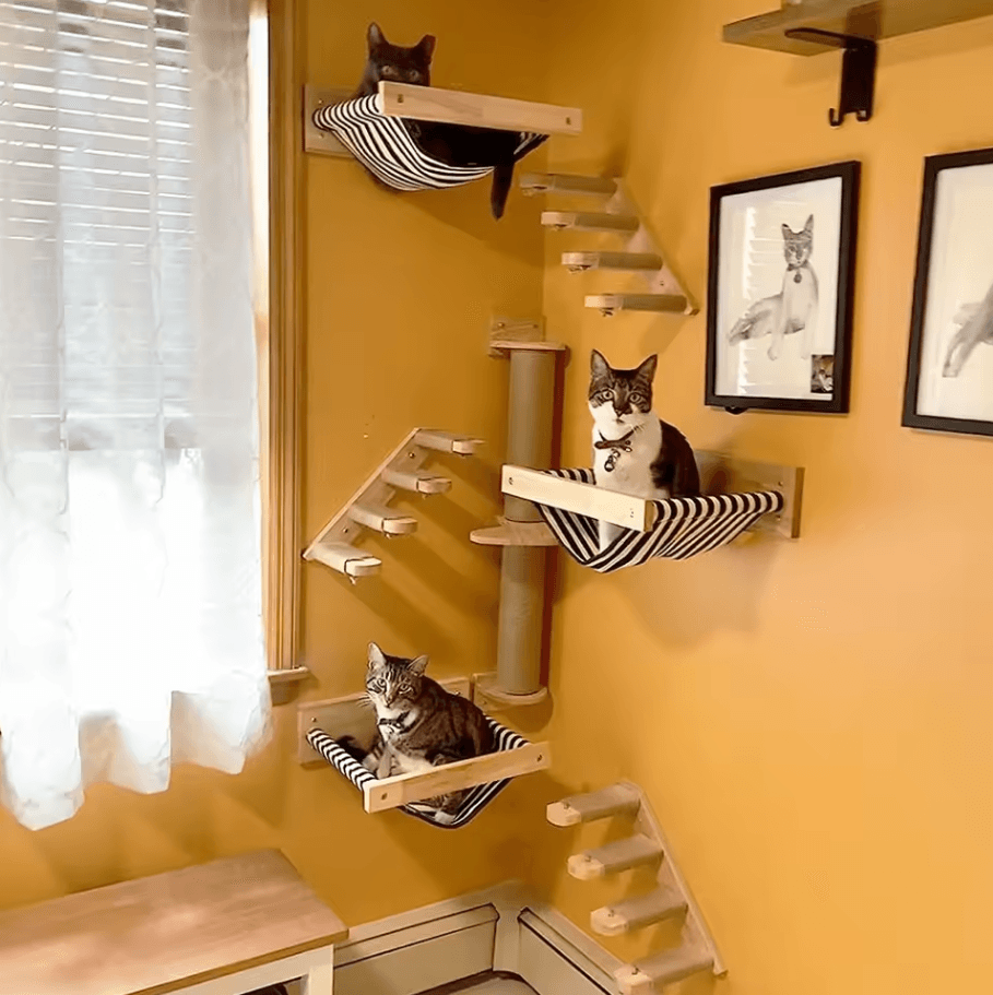 Wall Mounted Cat Climbing Shelves Wooden Cat Tree With Scratcher Rope Ladder And Sleeping Platform scratch Pillar 40cm