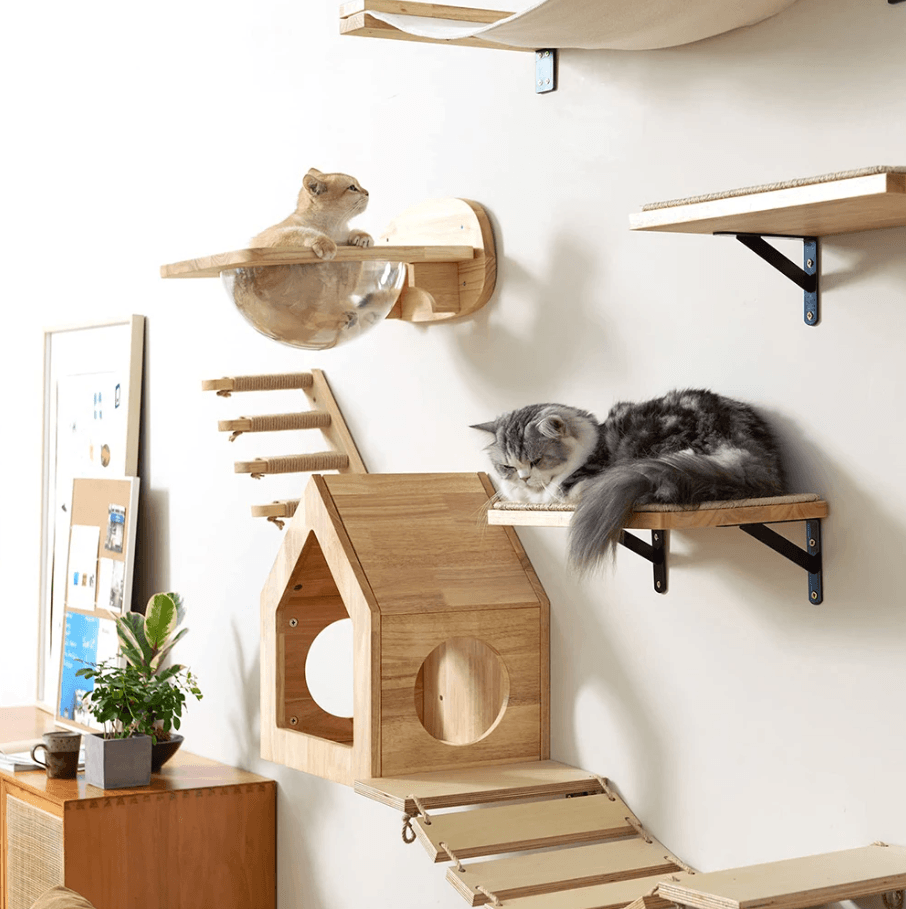 Wall Mounted Cat Shelves With Hammock And Steps For Indoor Climbing And Rest jump Platform
