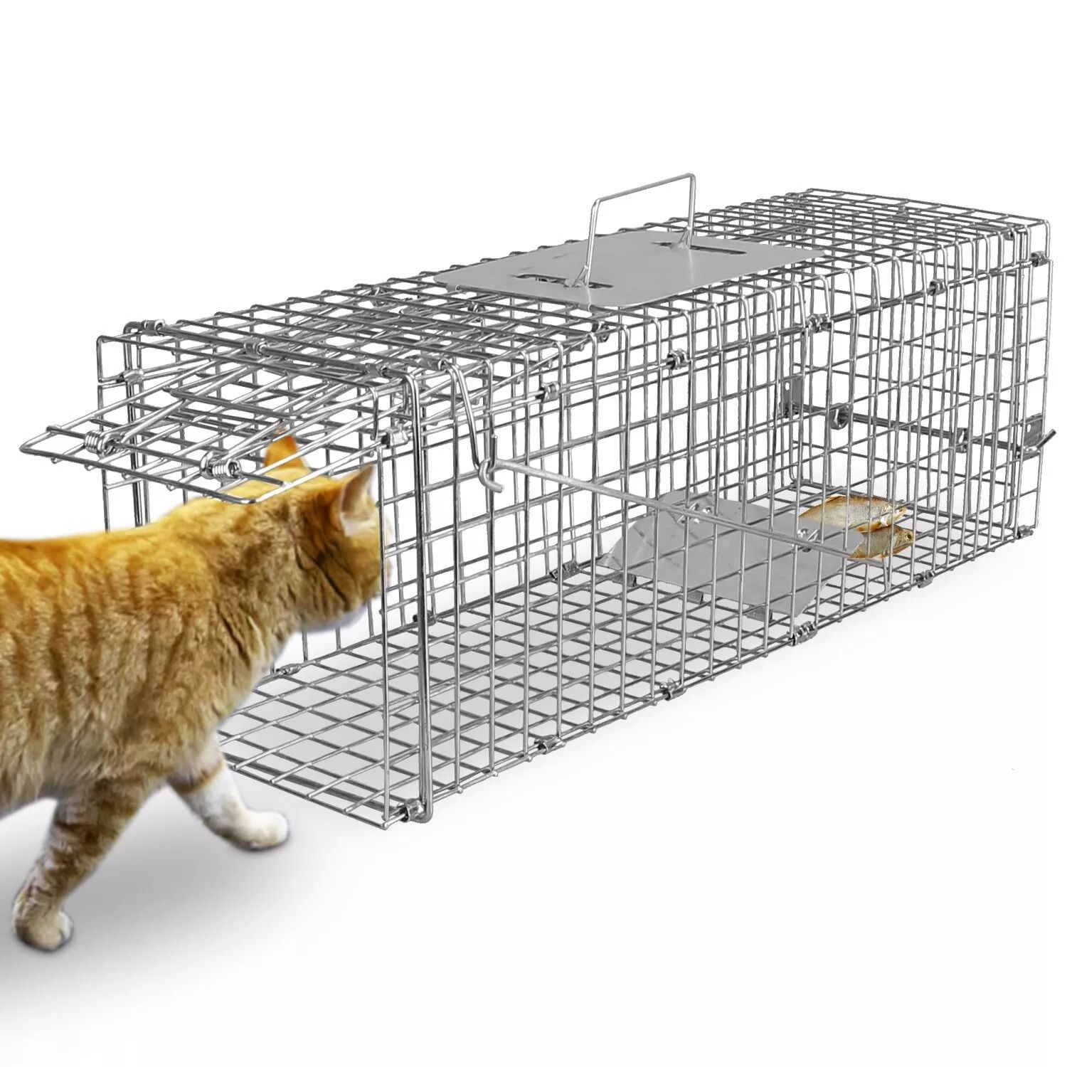 Humane Live Animal Trap Cage, Folding Steel Control Cage For Raccoons, Cats, Foxes & Small Animals Safe, Durable Humane Live Animal Trap Cage, Folding Steel Control Cage For Raccoons, Cats, Foxes & Small Animals Safe, Durable
