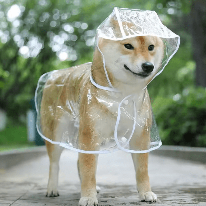 Transparent Hooded Dog Raincoat Waterproof Pet Rainwear Jacket For Small Dogs & Puppies blue xl