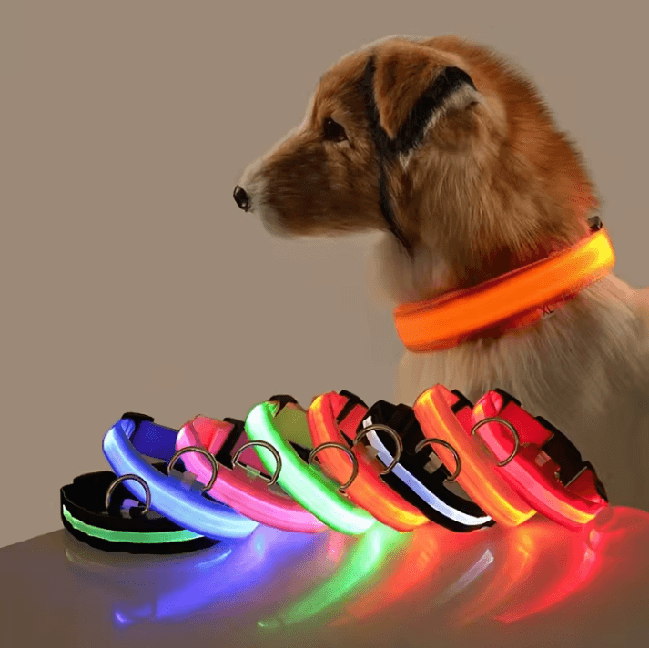 Nylon Luminous Dog Leash And Glow In The Dark Dog Collar LED Safety Pet Leash For Night Walking orange xl