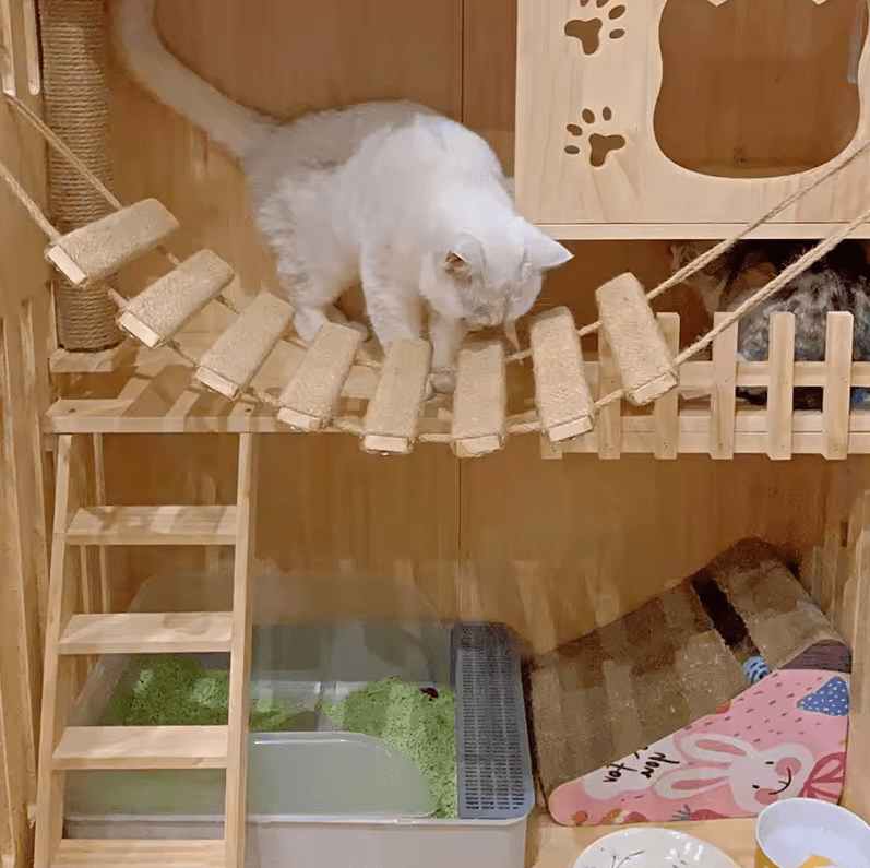 Wall Mounted Cat Bridge And Climbing Ladder With Sisal Scratcher For Indoor Cats cat Hammock 2