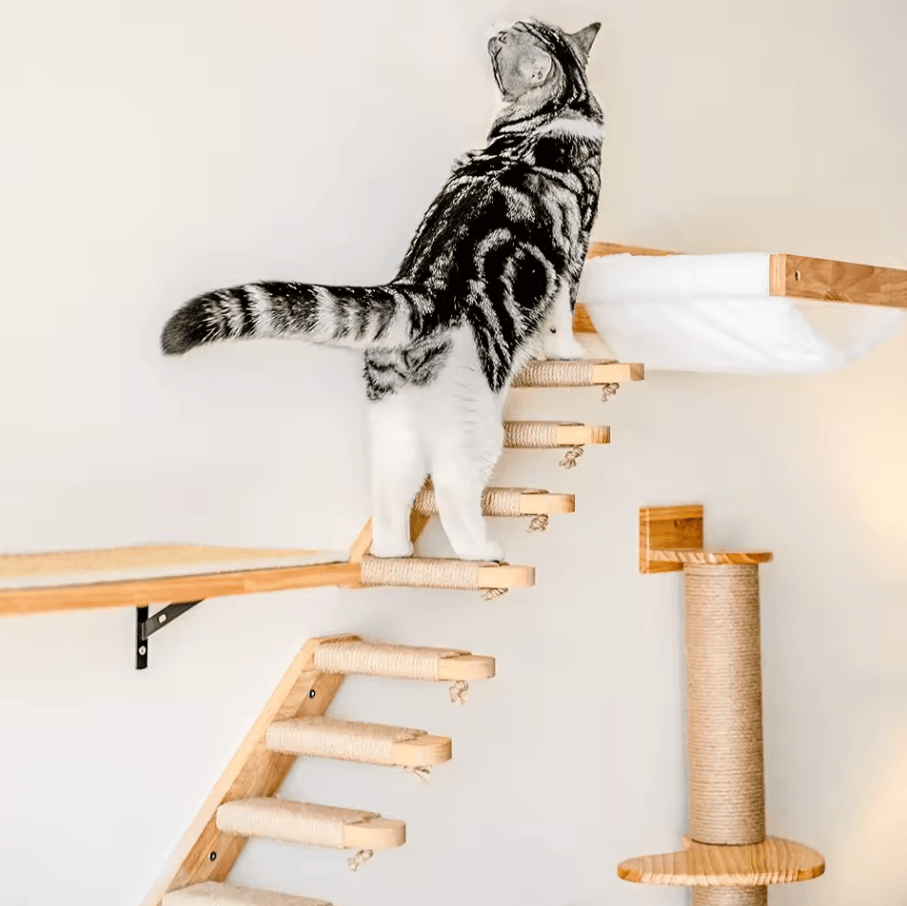 Wall Mounted Cat Hammock Bed With Wooden Shelf And Scratching Post For Indoor Cats a Cat Hammock