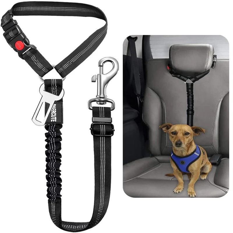 New Solid Two in one Dog Harness Leash Adjustable Pet Backseat Safety Belt purple