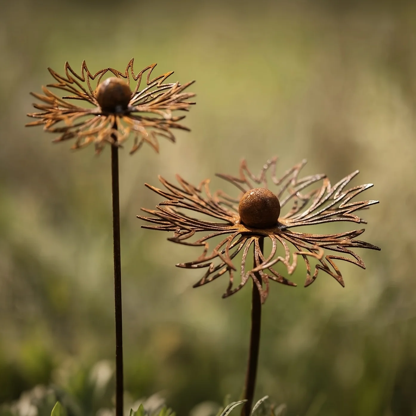 Décoration de jardin en métal rustique en forme de bleuet, finition rouillée, ornement de pelouse en fer, décorations d'extérieur pour jardin, piquets de jardin