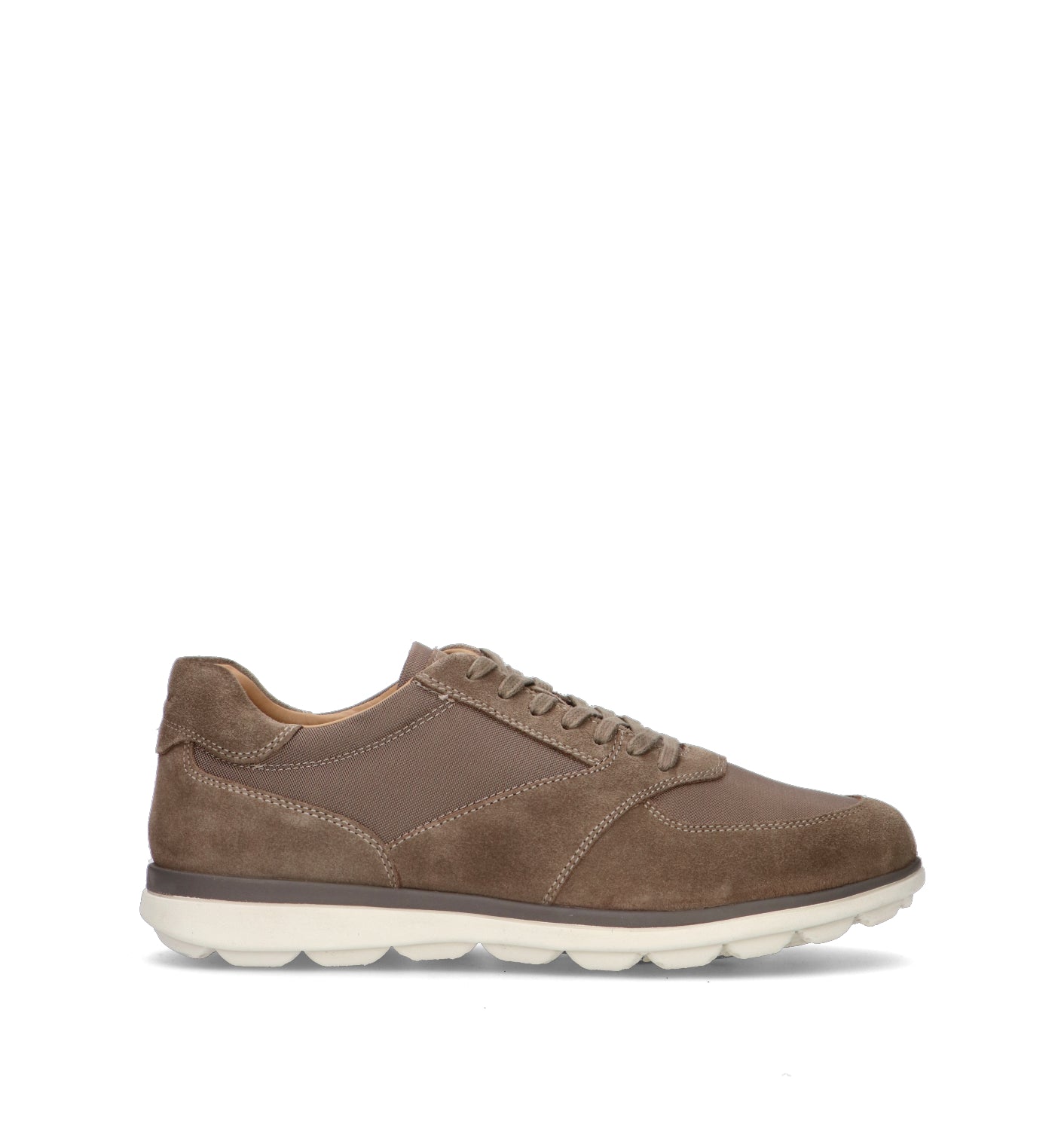 GEOX Sneaker uomo taupe