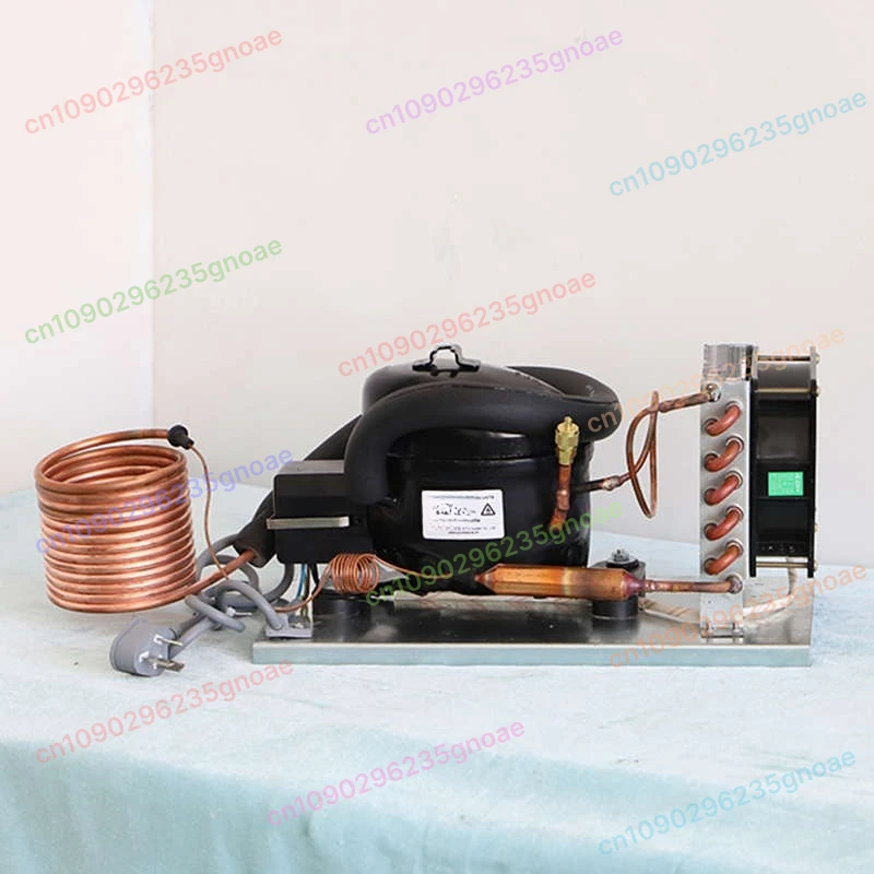 QD35W Mini-Wasserkühler, 220 V R600A-Kühlgerät, umweltfreundliches Kühlsystem, sofortige Kühlung Image