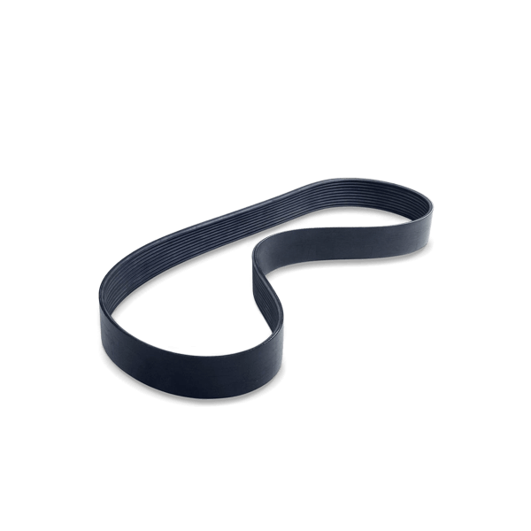 MAPCO Keilrippenriemen FORD,MAZDA 250575 6911495,93BB6C301DD Rippenriemen Image