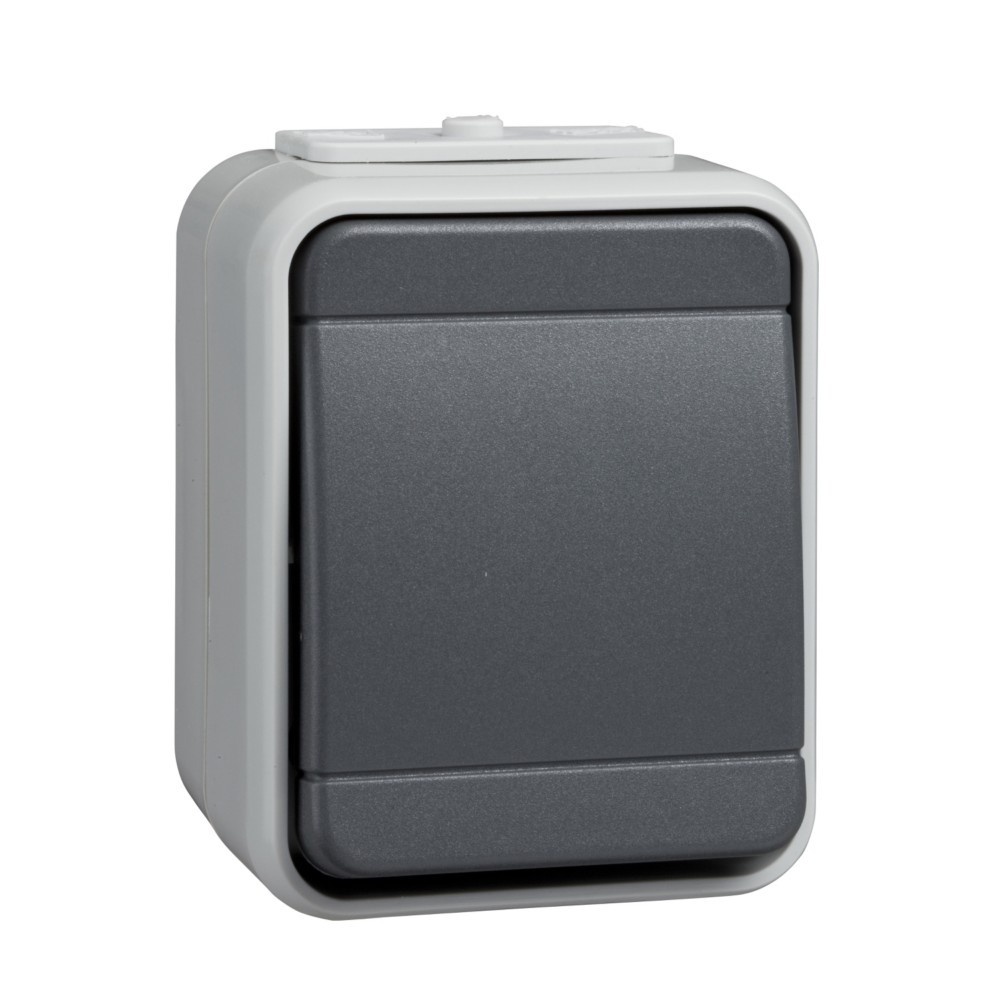 Elso Taster lg/dg 442109 Image