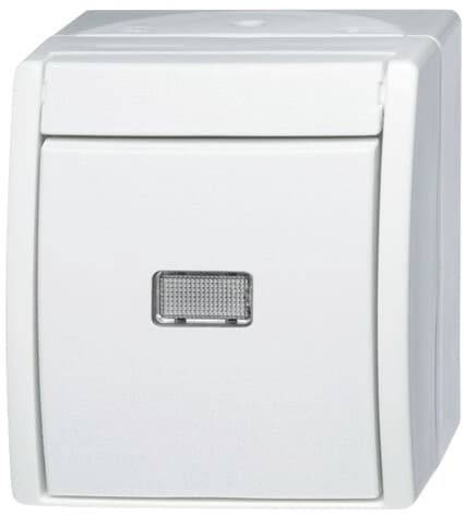 Busch-Jaeger ABB 2CKA001484A0377 Wippschalter IP44 Image