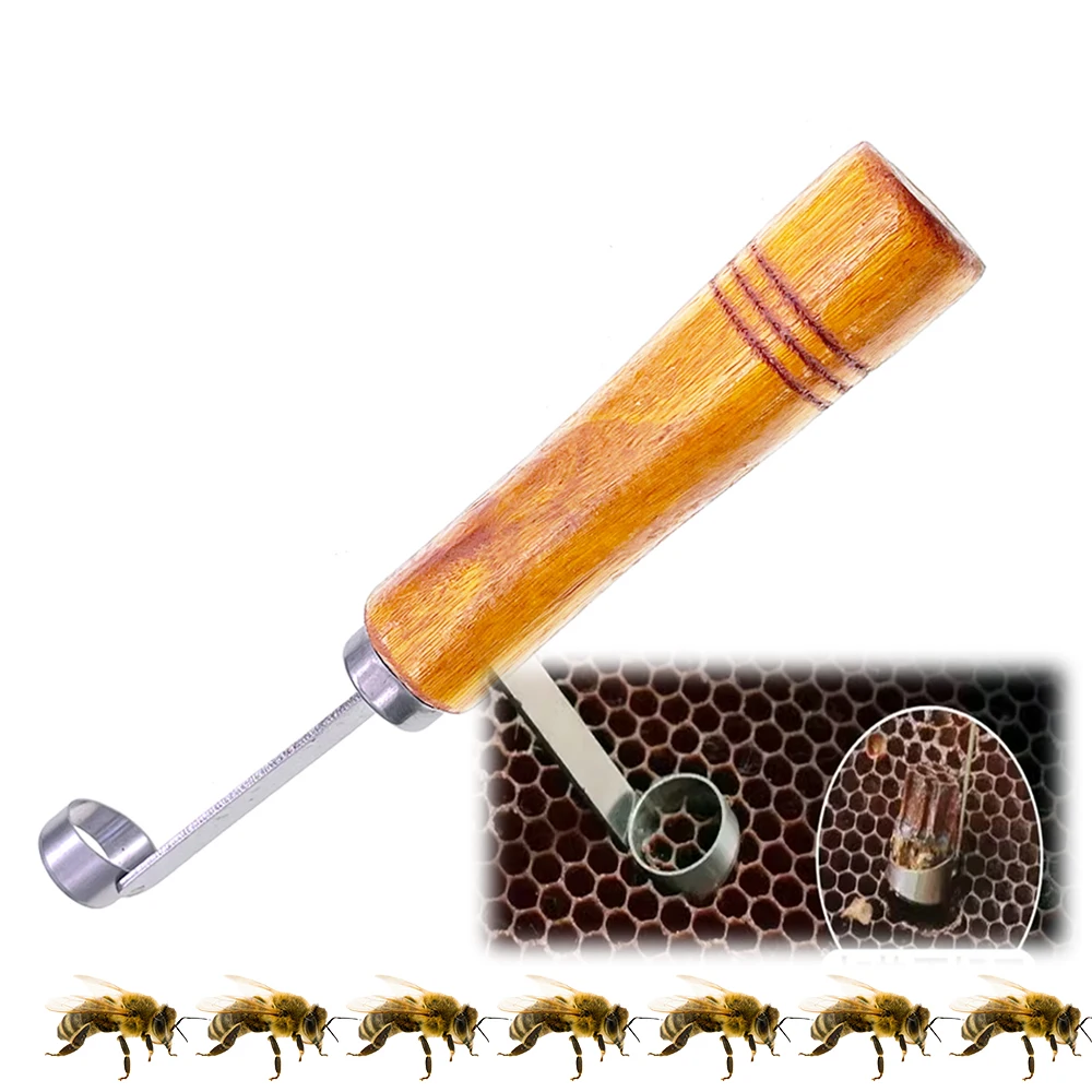 Nicht transplantierende Larve Queen Aufzucht klinge abfangen Ei von Kamm harmlose Klinge leicht zu handhabende Imker praktische Ausrüstung Biene Image