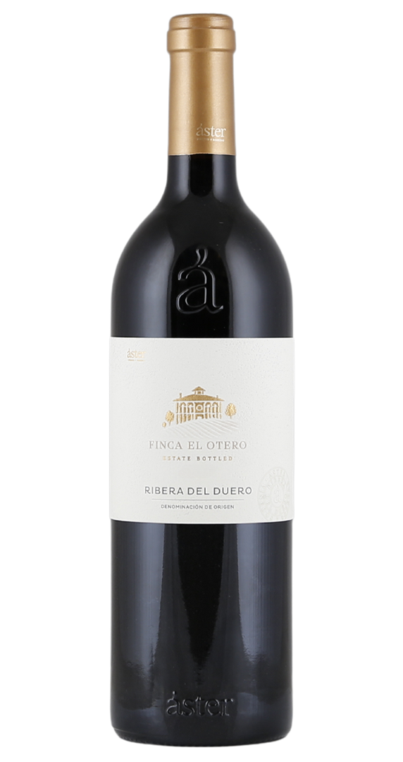 Áster Finca El Otero 2021 Image