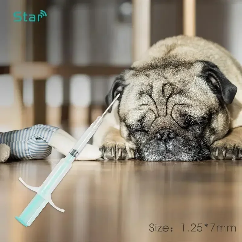 50PC 134,2KHz Tier Spritze ID Implantator ISO11784/5 Pet ID Chip Tag 1,25x7/2,12x12/1,4x8mm Haustier Spritze Tier Microchip für Haustier Image