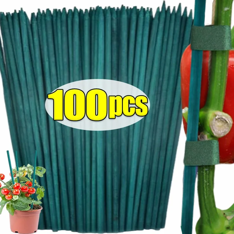 Pflanzenstützpfähle, grüne Gartenstäbe, Blumenstrauß, zum Klettern von Pflanzen, Tomaten, Bohnen, Gemüseanbau, Gartengeräte Image